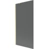 Mexen Next Einteilige Duschwand 90 x 150 cm, Graphit, Gebürstetes Gold - 895-090-000-00-40-55