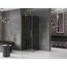 Mexen Velar sliding shower cabin 120 x 120 cm, graphite, brushed gold - 871-120-120-41-55