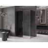 Mexen Velar lükand dušinurk 160 x 100 cm, grafiit, roosa kuld - 871-160-100-41-60