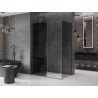 Mexen Velar Duschkabine verschiebbar 160 x 100 cm, graphit, gun gray gebürstet - 871-160-100-41-66