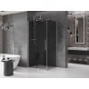 Mexen Velar Duschkabine schiebbar 110 x 120 cm, graphit, gebürsteter Nickel - 871-110-120-41-97