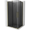 Mexen Velar Duo schuifdouchecabine 100 x 90 cm, grafiet, goud - 871-100-090-42-50