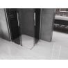 Mexen Velar L Duo Duschkabine verschiebbar 100 x 90 cm, Graphit, Chrom - 871-100-090-02-43-01