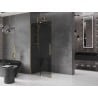 Mexen Velar paroi de douche coulissante Walk-in 110 x 200 cm, graphite 8 mm, doré - 871-110-000-43-50