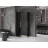 Mexen Velar L Duo sliding shower cabin 90 x 80 cm, graphite, brushed gold - 871-090-080-02-43-55