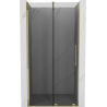 Mexen Velar drzwi prysznicowe rozsuwane 120 cm, grafit, złote - 871-120-000-41-50