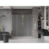 Mexen Velar Duo drzwi prysznicowe rozsuwane 200 cm, szron, złote - 871-200-000-32-50