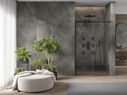 Mexen Omega porte de douche coulissante 120 cm, transparentes, noires - 825-120-000-70-00