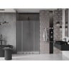 Mexen Velar Duo sliding shower door 160 cm, frost, gun metal - 871-160-000-32-95