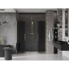 Mexen Velar Duo sliding shower door 170 cm, graphite, gold - 871-170-000-42-50