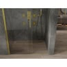 Mexen Omega skjutdörrar dusch 110 cm, genomskinliga, gyllene - 825-110-000-50-00
