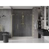 Mexen Velar L Duo drzwi prysznicowe rozsuwane 200 cm, transparent, złote szczotkowane - 871-200-003-02-55