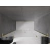 Mexen Velar L Duo drzwi prysznicowe rozsuwane 170 cm, szron, złote szczotkowane - 871-170-003-32-55