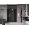 Mexen Velar Duo sliding shower doors 140 cm, graphite, gold - 871-140-000-42-50