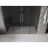 Mexen Velar L Duo 200 cm sliding shower door, graphite, brushed gold - 871-200-003-42-55