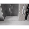 Mexen Velar L Duo lükandduššuks 160 cm, läbipaistev, harjatud nikkel - 871-160-003-02-97