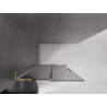 Mexen Velar L klizni paravan klizni Walk-in 100 x 200 cm, grafit 8 mm, zlatna - 871-100-003-43-50