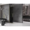 Mexen Velar L Klizna stijenka za tuširanje Walk-in 120 x 200 cm, grafitna 8 mm, zlatna brušena - 871-120-003-43-55