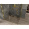 Mexen Omega Duschkabine Schiebetür 120 x 90 cm, transparent, gold - 825-120-090-50-00