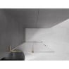 Mexen Velar L Duschwand Schiebetür Walk-in 100 x 200 cm, transparent 8 mm, gold - 871-100-003-03-50