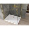 Mexen Omega cabine de douche coulissante 100 x 70 cm, transparente, dorée + receveur Flat - 825-100-070-50-00-4010