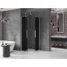 Mexen Velar L Duo cabine de douche coulissante 80 x 80 cm, graphite, chromé - 871-080-080-02-43-01