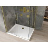Mexen Omega lükand dušikabiin 110 x 80 cm, läbipaistev, kuldne + tasapind Flat - 825-110-080-50-00-4010