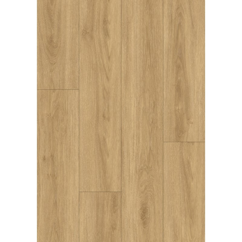 Mexen Cape Coral  δείγμα πάνελ βινυλίου SPC 6,5 mm, υπόστρωμα IXPE 1,5 mm, 4 V-Fuga, Δρυς