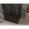 Mexen Omega sliding shower enclosure 110 x 100 cm, graphite, chrome - 825-110-100-01-40