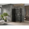 Mexen Omega cabine de douche coulissante 130 x 70 cm, graphite, chrome - 825-130-070-01-40