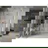 Mexen Lima opvouwbare douchedeur 70 cm, transparant, goud - 856-070-000-50-00