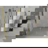 Mexen Lima opvouwbare douchedeur 70 cm, transparant, goud - 856-070-000-50-00