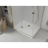 Mexen Lima opvouwbare douchecabine 100 x 70 cm, transparant, goud + Flat douchebak - 856-100-070-50-00-4010