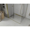Mexen Lima kokkupandav dušinurk 70 x 100 cm, läbipaistev, kuldne - 856-070-100-50-00