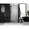Mexen Exo Duschgleittüren 120 cm, transparent, schwarz - 8151-120-000-70-00