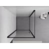 Mexen Exo cabine de douche battante 80 x 80 cm, transparent, noir - 817-080-080-70-00