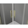 Mexen Exo quadratische Duschkabine, schiebbar 80 x 80 cm, transparent, gold - 8111-080-080-50-00