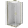 Mexen Exo quadratische Duschkabine, verschiebbar, 100 x 100 cm, transparent, gold - 8111-100-100-50-00
