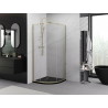 Mexen Exo-S halfronde douchecabine verschuifbaar 70 x 70 cm, transparant, goud - 8131-070-070-50-00