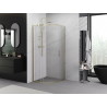 Mexen Exo-S Duo kabina prysznicowa półokrągła rozsuwana 90 x 90 cm, transparent, złota - 8132-090-090-50-00