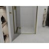 Mexen Roma swing shower door 100 cm, transparent, gold - 854-100-000-50-00