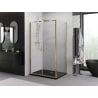 Mexen Exo cabine de douche battante 80 x 90 cm, transparent, doré - 814-080-090-50-00