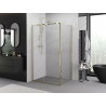Mexen Exo-R suihkukaappi, kääntyvä ovi, 110 x 80 cm, läpinäkyvä, kulta - 819-110-080-50-00