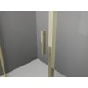 Mexen Exo cabina doccia apribile 120 x 80 cm, trasparente, dorata - 819-120-080-50-00
