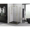 Mexen Exo-R kabina prysznicowa uchylna 100 x 95 cm, transparent, złota - 819-100-095-50-00