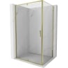 Mexen Exo Duschkabine schwenkbar 140 x 100 cm, transparent, gold - 819-140-100-50-00