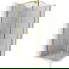 Mexen Exo Hinged Shower Enclosure 100 x 100 cm, Transparent, Gold - 8182-100-100-50-00