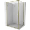 Mexen Exo 75 x 95 cm hinged shower cabin, transparent, gold - 8181-075-095-50-00