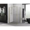 Mexen Exo Duschkabine schwenkbar 100 x 70 cm, transparent, gold - 817-100-070-50-00