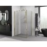 Mexen Exo-F cabina de ducha plegable 95 x 70 cm, transparente, dorada - 816-095-070-50-00